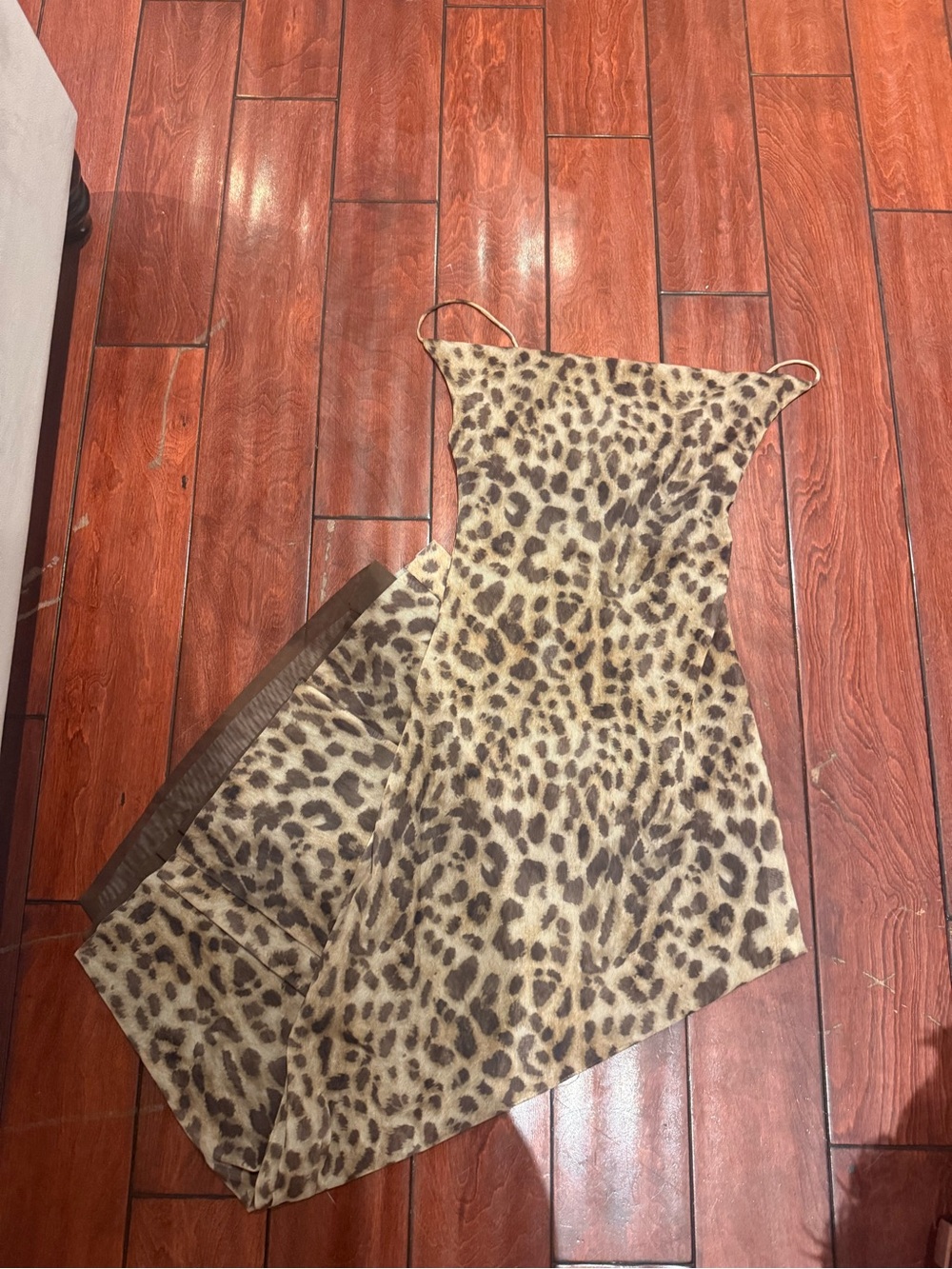 Zara cheetah maxi Dress